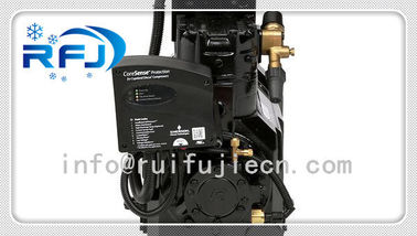 Mua Máy nén DWN DLL-30X Đức Máy nén khí nén Copeland của Đức online manufacture