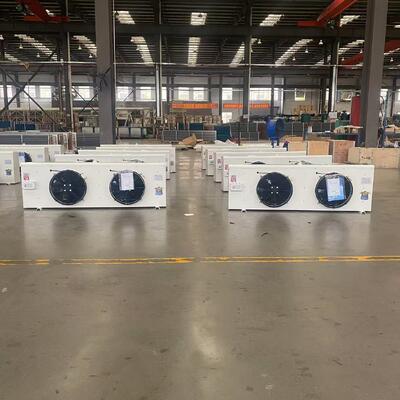 Mua DL30 6.5kW Wall Mount Air Cooler Evaporator cho kho lạnh 30m2 online manufacture