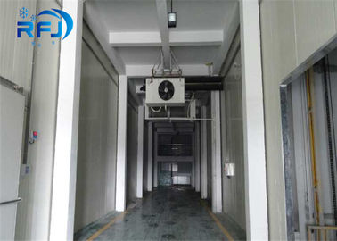 Trái cây / rau quả đi bộ trong tủ đông lạnh, phòng kho lạnh giữ lại độ tươi