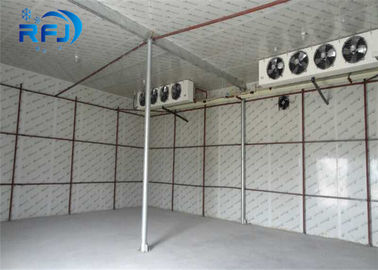 Đi bộ sâu tủ lạnh thương mại lạnh 380V / 3P / 50Hz Cooler cho thực phẩm biển