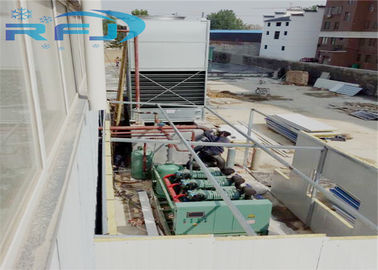 Bitzer Vít Compressor Cold Cold Room Polyurethane Sandwich cách nhiệt