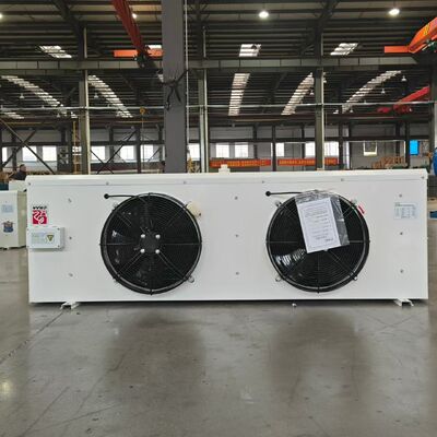 DL20 Máy hơi lạnh chứa lạnh nhỏ gọn